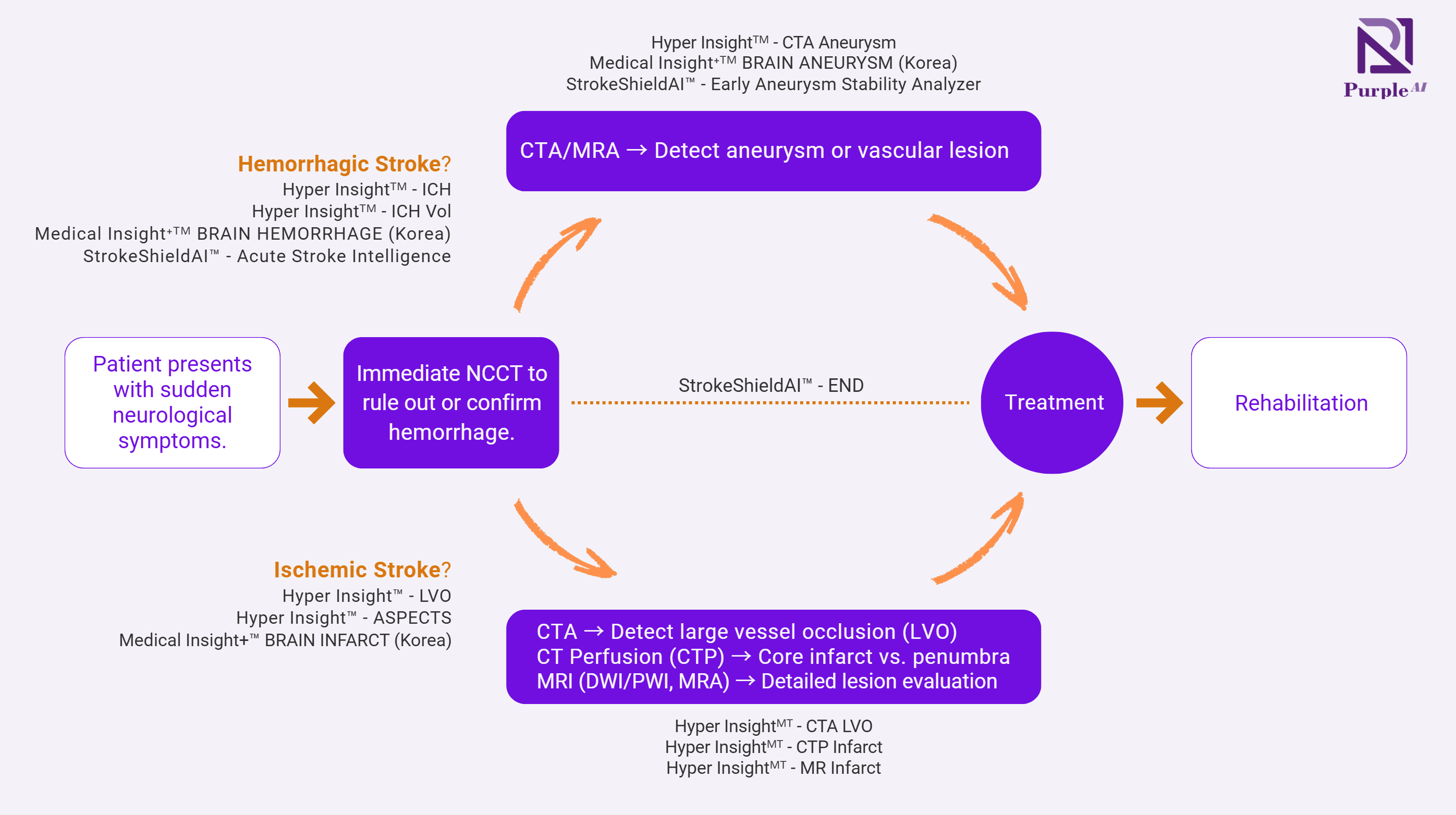 PurpleAI Stroke Care Workflow - Hyper Insight and StrokeShieldAI Product Portfolio